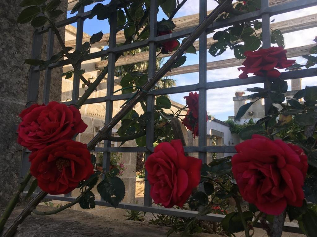 Corte Dei Salentini Carpignano Salentino Dış mekan fotoğraf
