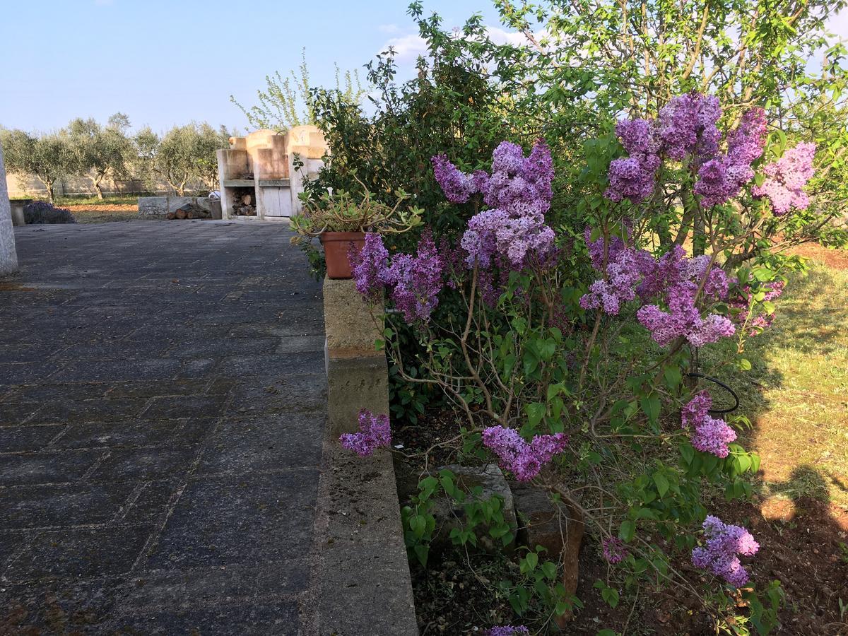 Corte Dei Salentini Carpignano Salentino Dış mekan fotoğraf